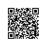 殘疾人衛(wèi)生間扶手結(jié)實耐用【藍品盾】