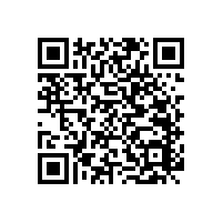 殘疾人衛(wèi)生間扶手用什么款式合適？