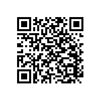 殘疾人衛(wèi)生間扶手怎么安裝【藍(lán)品盾】