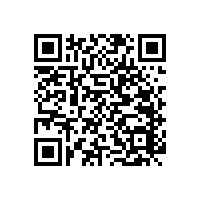 殘疾人衛(wèi)浴扶手實(shí)用的款式【藍(lán)品盾】