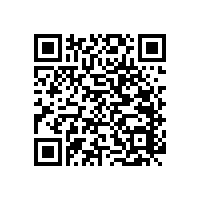 殘疾人小便斗扶手樣式有幾種【藍(lán)品盾】