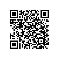 殘疾人小便扶手/結(jié)實牢靠【藍品盾】