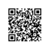 殘疾人洗手間扶手左右翻轉(zhuǎn)省空間【藍(lán)品盾】