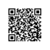 殘疾人坐便扶手-易于使用【藍(lán)品盾】