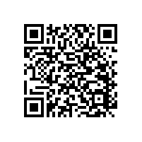 殘疾人坐便器扶手材質(zhì)舒適【藍品盾】