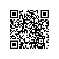 殘疾衛(wèi)生間扶手款式夠新穎嗎？【藍品盾】