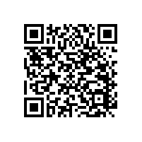 廁所殘疾人扶手/恒溫不生銹【藍(lán)品盾】