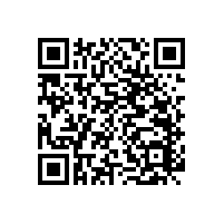 廁所防滑扶手/功能齊全不占空間【藍(lán)品盾】