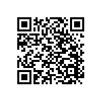 廁所扶手老人安全扶手采用哪些材質(zhì)？【藍(lán)品盾】