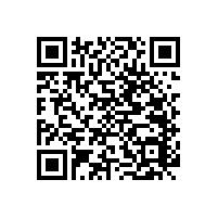 廁所老人防摔各種扶手-造型多樣【藍品盾】