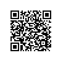 廁所無障礙扶手實木材質環(huán)保嗎！【藍品盾】