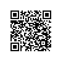 殘衛(wèi)扶手為老人安全保駕護(hù)航【藍(lán)品盾】