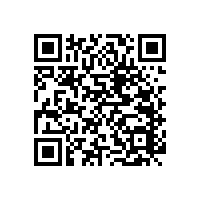 殘衛(wèi)生間的扶手怎么安裝才能去除安全隱患呢？【藍(lán)品盾】