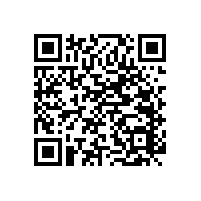 【暢銷產(chǎn)品】藍品盾尼龍無障礙扶手暢銷的秘訣?。? title=