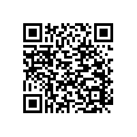 【蹲廁旁邊使用的】衛(wèi)生間墻上扶手拉桿-藍(lán)品盾推薦