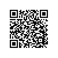 【東莞廁所扶手】 藍品盾PT-WY-29款以質(zhì)取勝