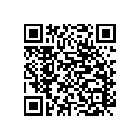 多功能扶手衛(wèi)生間安防設(shè)施用品安全又實用-藍(lán)品盾廠銷