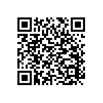 帶呼叫器無障礙扶手的“特別功能”【藍品盾】