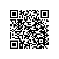 大批量的醫(yī)院衛(wèi)生間墻上扶手拉桿實惠款式-藍品盾