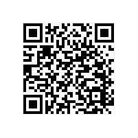 帶紙巾盒的多功能衛(wèi)浴扶手