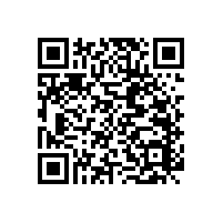 兒童衛(wèi)生間扶手-藍(lán)品盾生產(chǎn)廠家訂做