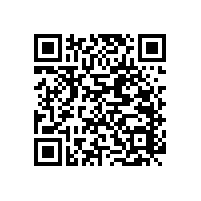 兒童洗手間扶手可訂制~【藍(lán)品盾】