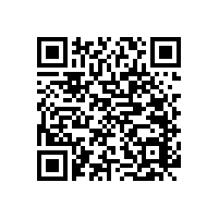 防滑小技巧-安裝老人衛(wèi)生間活動(dòng)扶手架【藍(lán)品盾】