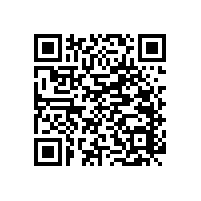 【分析】小便池扶手款式的選擇-藍(lán)品盾