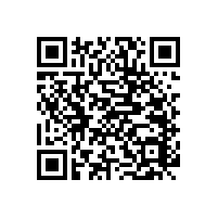 公廁無障礙扶手/牢靠不掉落【藍(lán)品盾】