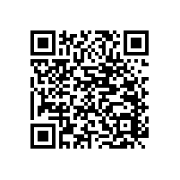 公共場所的衛(wèi)生間無障礙扶手+上翻【藍品盾】