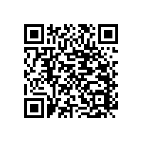 公共場(chǎng)所衛(wèi)生間無障礙扶手，一般都選擇哪些款式？-藍(lán)品盾