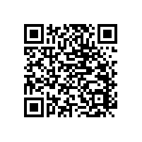 公共衛(wèi)生間殘疾人廁所扶手夠溫馨【藍(lán)品盾】