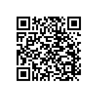 公共衛(wèi)生間扶手| 品質(zhì)好易清潔的款式在這里【藍(lán)品盾】