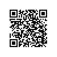 公共衛(wèi)生間及沐浴間安全扶手-快速解決衛(wèi)生間的安全隱患【藍品盾】