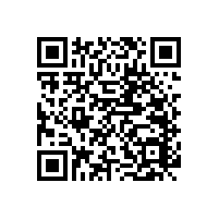 【甘肅】天水市第三人民醫(yī)院優(yōu)選PT-140款防撞扶手