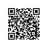 廣西北海市哪里可以定做殘疾人扶手 藍(lán)品盾