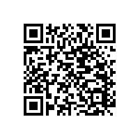 關(guān)于醫(yī)院衛(wèi)生間無障礙扶手的款式選擇-藍(lán)品盾