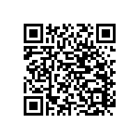 【廣州】尼龍衛(wèi)浴扶手，好品質(zhì)不怕驗(yàn)貨