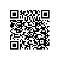 河北景縣做醫(yī)用扶手廠家 藍品盾給您便捷的選購體驗