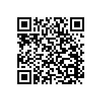 【湖北】無障礙扶手選購，種類全，款式多