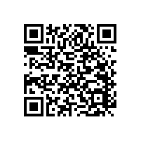 簡單實用的 病房衛(wèi)生間無障礙扶手【藍(lán)品盾】