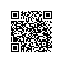 簡(jiǎn)潔的老年衛(wèi)生間扶手怎么安裝【藍(lán)品盾】