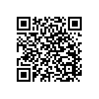 敬老院扶手哪家好--藍(lán)品盾