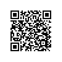 敬老院防撞安全扶手實(shí)用性有多高？【藍(lán)品盾】