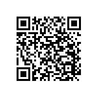 景區(qū)的老人衛(wèi)生間無障礙扶手了解一下