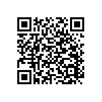 【解析】尼龍衛(wèi)浴扶手的廠家選擇