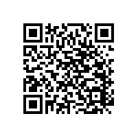 開工大吉 ”卯”足干勁 大展宏“兔“【藍(lán)品盾】