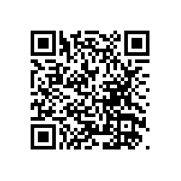 可活動(dòng)帶立柱無(wú)障礙扶手/廁所扶手--更穩(wěn)固，承重力更大