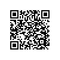 L-35無(wú)障礙輔助實(shí)木扶手通道走廊安全裝飾