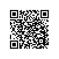 老年人安裝衛(wèi)生間扶手應(yīng)該應(yīng)地制宜、靈活應(yīng)對
